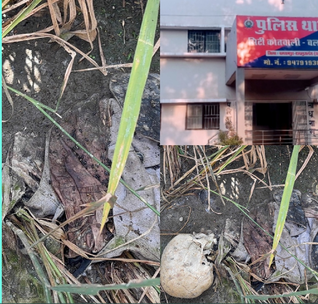 SARGUJA : खेत में मिला तीन नरकंकाल..जाँच में जुटी पुलिस