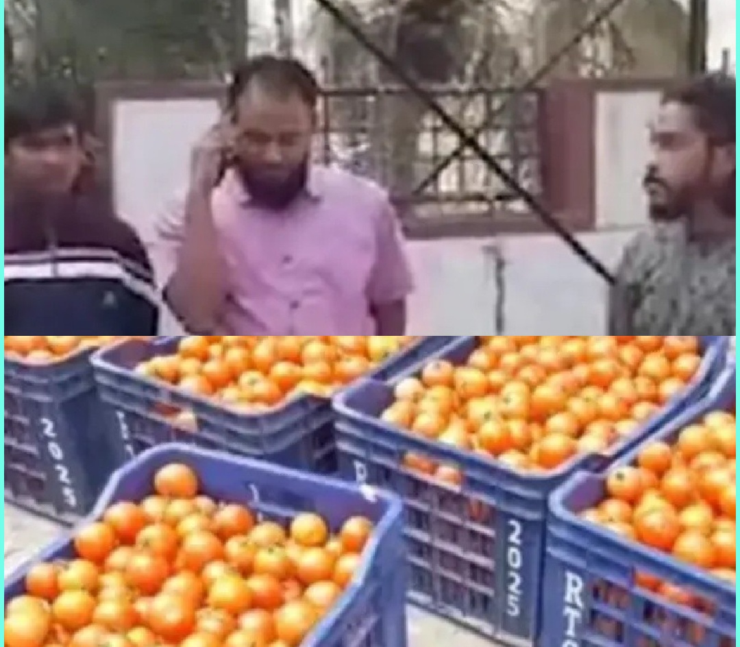 टमाटर लेकर किसान पंहुचा कलेक्ट्रेट, बोला 26 हजार का टमाटर और चालान काट दिया 28 हजार का...अब लगा लूंगा फांसी